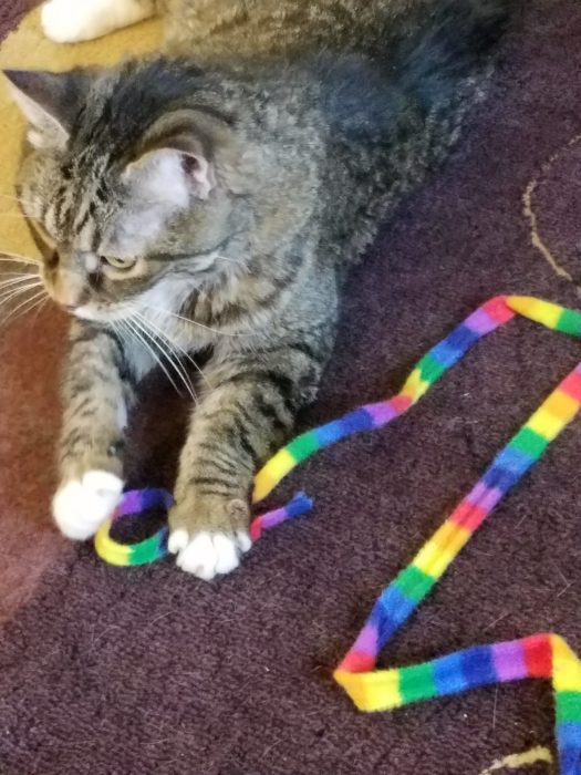 Stitch with his Rainbow